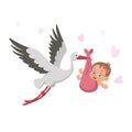 Stork with baby on a white background. Concept of greeting card, baby shower invitation. It`s a girl. Vector illustration in carto Royalty Free Stock Photo